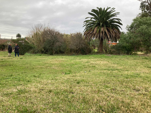 Terreno Estación Las Flores