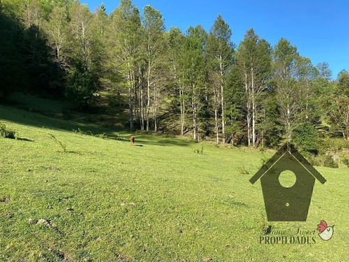 Parcela Con Casa E Instalaciones, 1 Hectarea
