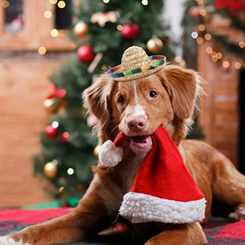 Popetpop: Set 3 Sombreros Para Perros - Estilo Único