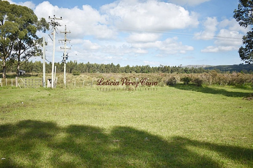 Imagen 2 de 12 de Venta Chacra En San Carlos, Ruta 9