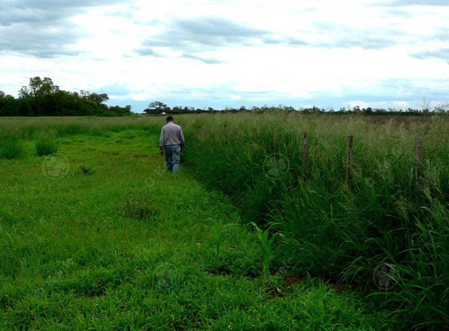 Imagen 2 de 13 de Excelentes Instalaciones Nuevas! Campo Totalmente Desarrollado