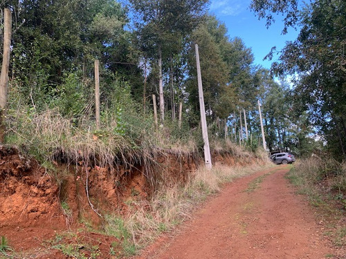 Parcela De 15 Has, A 1 Km Ruta 5 , Lipingue, Los Lagos