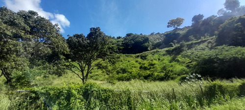 Se Vende Terreno Guarenas- Guatire Con Zonificación Industrial O Residencial. (rs90)