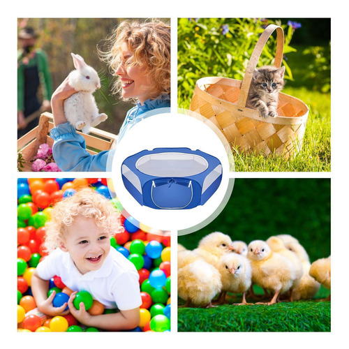 Parques Para Mascotas Parque Para Animales Pequeños