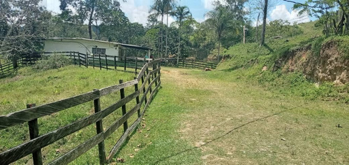 Imagen 7 de 10 de En Venta Finca Agricola-ganadera En Estado Carabobo. Ma