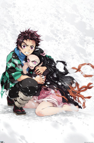 Póster De Pared De Nieve De Tanjiro Nezuko 56.83 X 86.36 Cm