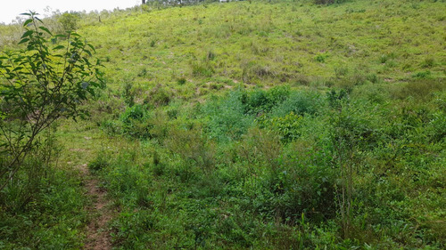 Vende-se Terreno De 26.000 M Com Nascente Dentro Da Propried