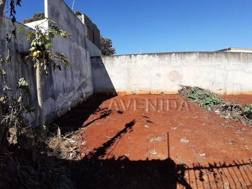 Imagem 3 de 5 de Terreno - California - Ref: 10386 - V-10386