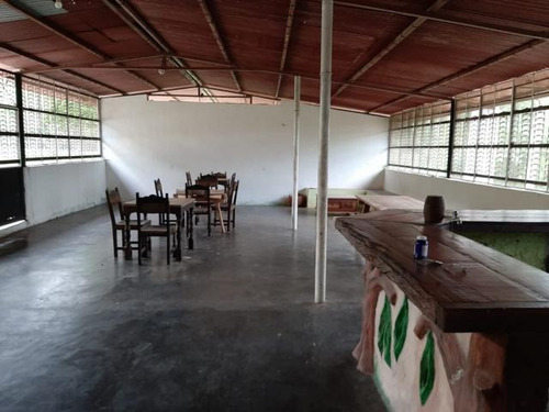 Imagen 3 de 12 de Finca En Venta En Nirgua Yaracuy Marco Sevilla C425989