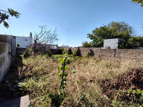 Imagen 10 de 26 de 25 De Mayo Entre Sarmiento Y Congreso, Casa De 2 Dormitorios Con Amplio Jardin