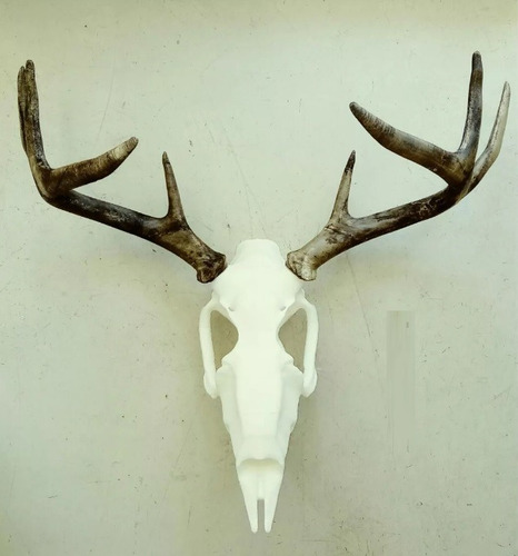 Cabeza De Ciervo Osamenta Plastica 41cm Ancho 50cm Alto