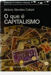 O Que É Capitalismo Afrânio Mendes Cat