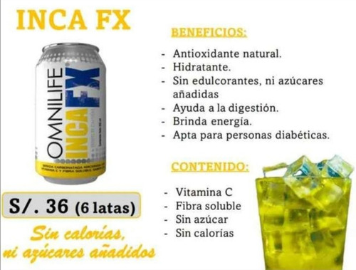 Inka Fx (six Pack De 355 Ml) 