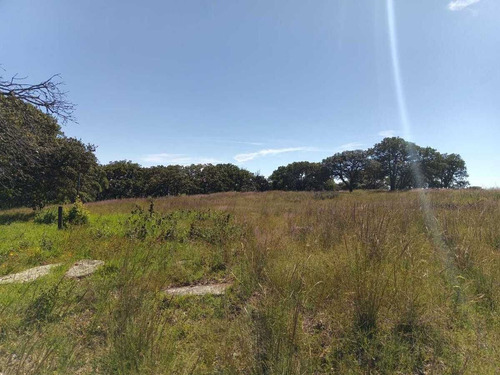 Terreno En Venta En Sierra De Lobos