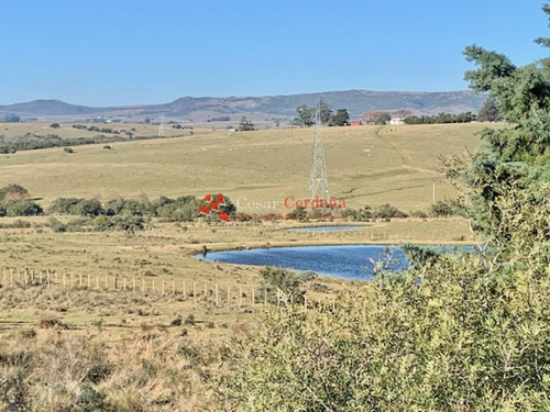 Chacra En Venta En Aigua- Ref: 1493