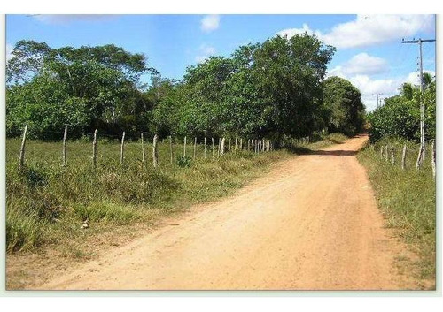 172ha Terras Em Alagoinhas, Bahia!