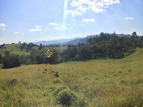 Sítio Em Socorro - St00002 - 68125252