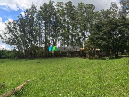 Imagem 8 de 15 de Fazenda - Zona Rural - Ref: 4667 - V-mta4667