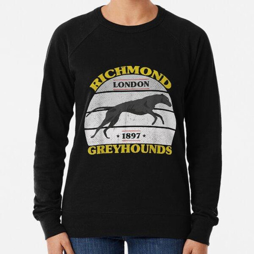 Buzo Richmond Greyhounds - Camiseta Para Perro Divertida Y S