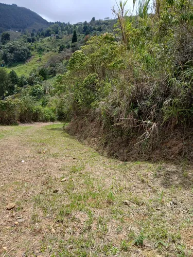Se Vende Lote En Vereda La Frisola A 2 Km De La Salida Del Tunel Lado Occidente