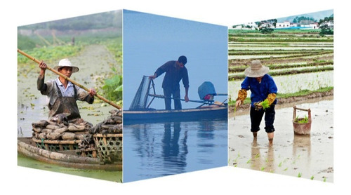 Wader Traje De Pesca Con Botas Impermeable Talla 41-44