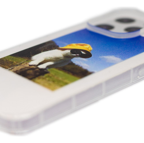 Case Para iPhone Gato Cool - Funda Protectora