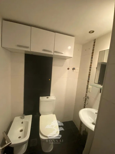 Alquiler Apartamento Monoambiente Parque Rodo Montevideo M