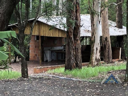 Chácara Com 4 Dormitórios À Venda, 24200 M² Por R$ 1.800.000,00 - Gleba Palhano - Londrina/pr - Ch0160