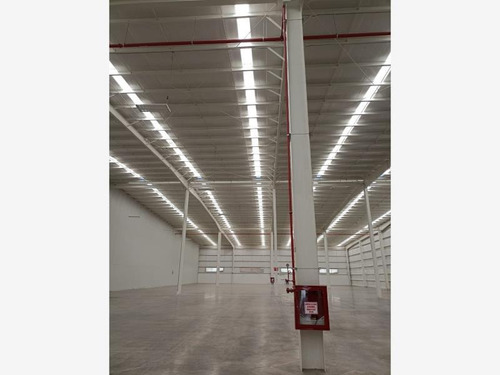 Imagen 2 de 4 de Nave En Renta En Arroyo Hondo