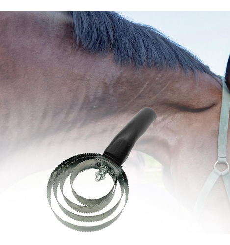 General Peine De Curry De 4 Anillos, Práctico Cepillo Negro