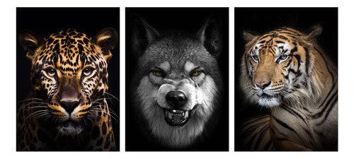Cuadro Decorativo Tríptico Animales, Lobo, Leopardo, Tigre