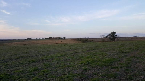 Imagen 9 de 11 de Campo De 16 Has En Molino Doll, Con Acceso Al Arroyo Doll