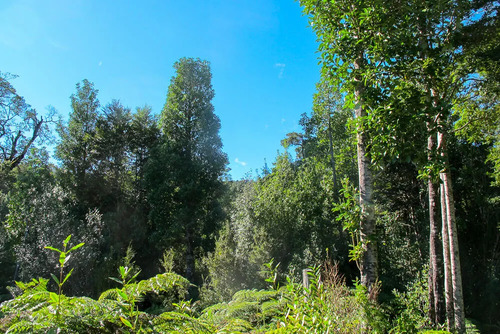 Venta Terreno Parcela Aysen Puerto Bonito A Orilla Del Mar