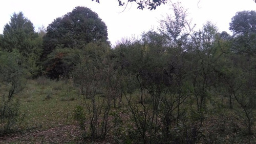 Imagen 10 de 10 de Venta De Fracción De 1 Hectárea En Villa General Belgrano - Tlc0201