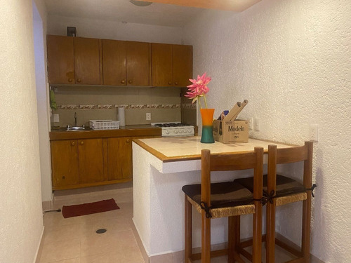 Excelente Loft En Renta, Lomas De Chapultepec, Miguel Hidalgo