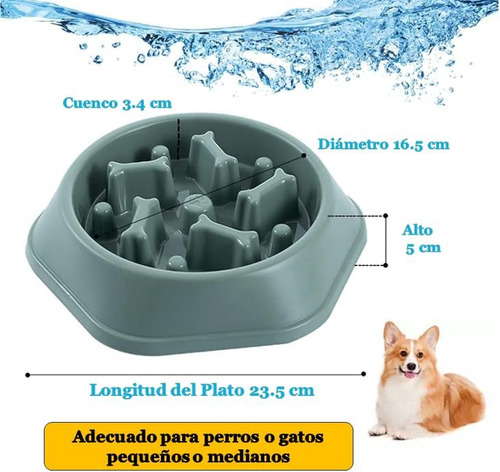 Genérico Plato Para Perro, Plato Entrenador Para Perro,
