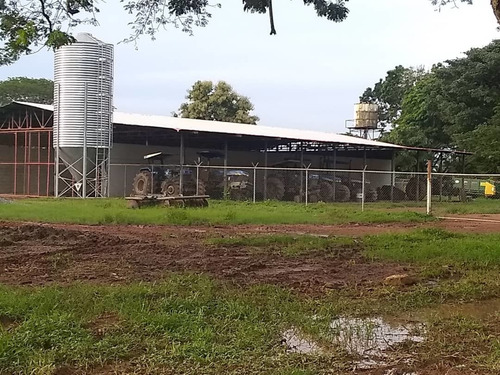 Imagen 5 de 19 de Finca Totalmente Equipada En Cojedes