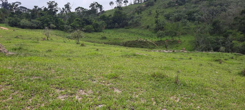 Imagem 8 de 14 de R02 - Terreno Com Ótima Topografia