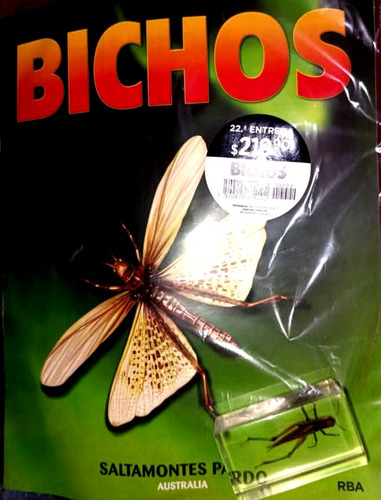 Bichos Editorial Rba Edicion 22 Saltamontes Pardo