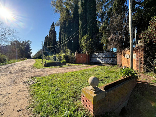 Casa En Alquiler - 1 Dormitorio 1 Baño - Cochera - 22.878mts2 - Villa Elisa, La Plata