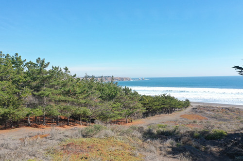 Desarrollo Inmobiliario Frente Al Mar En Punta De Lobos