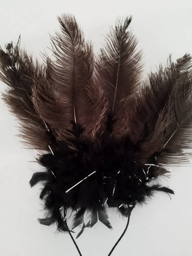 Cintillo De Plumas Disfraz Desfile Halloween 