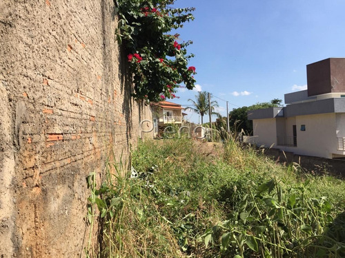 Imagem 12 de 23 de Terreno À Venda Em Jardim Das Palmeiras - Te025339