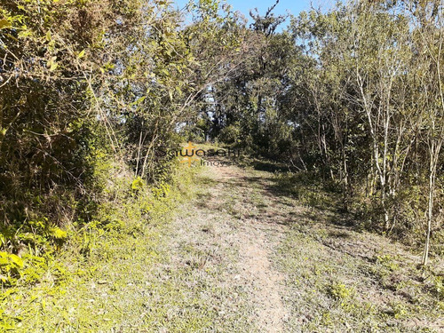 Imagem 24 de 30 de Fazenda A Venda No Bairro Colônia Murici Em São José Dos - 5836-1