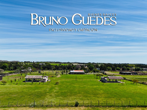 Se Alquila Chacra Con Salón De Eventos Y Canchas De Futbol Rincón Del Cerro Montevideo Rural