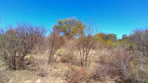 Villa De Soto Campo De 45 Has En Paraje Las Cañadas
