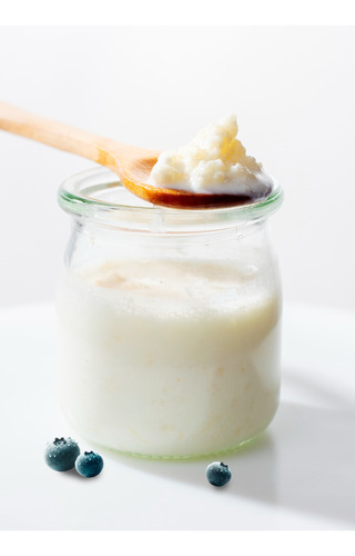 Búlgaros (kéfir) De Agua Y Leche Premium | Probióticos Vivos