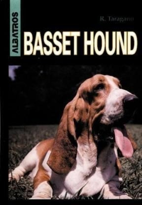 Basset Hound