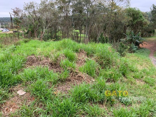 Imagem 11 de 13 de Chácara Para Venda Em Cajamar, Ponunduva - 19264_1-1330736