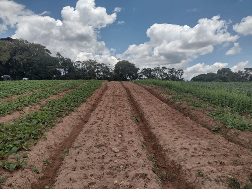 Imagem 14 de 19 de Lotes E Terrenos Localizados Na Região De Cotia